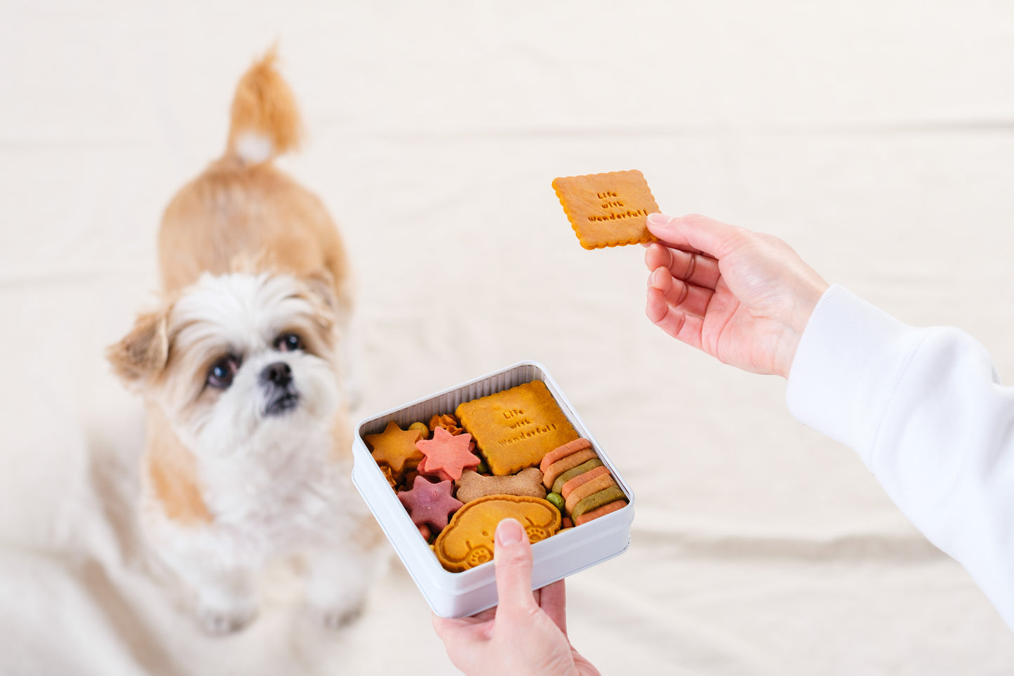 愛犬といっしょに安心して楽しめるつながる クッキー缶