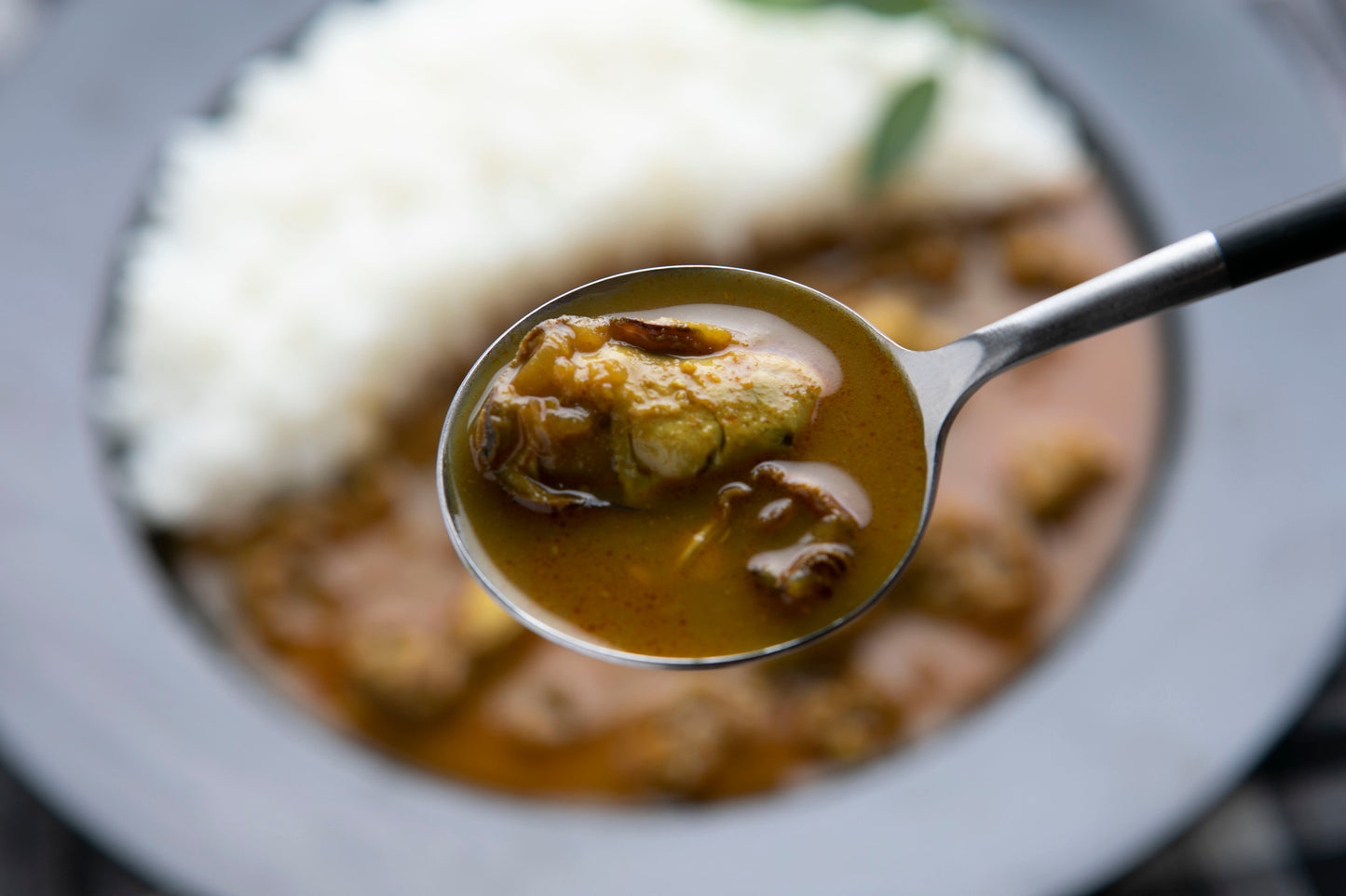 OYSTER SPICE CURRY