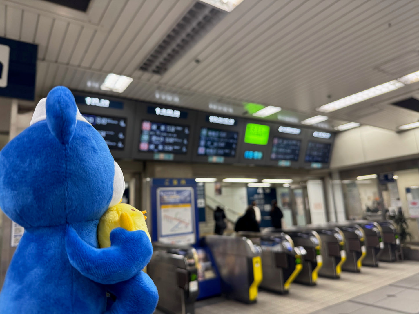 こぐまくん×ぴよりん だっこぬいぐるみ